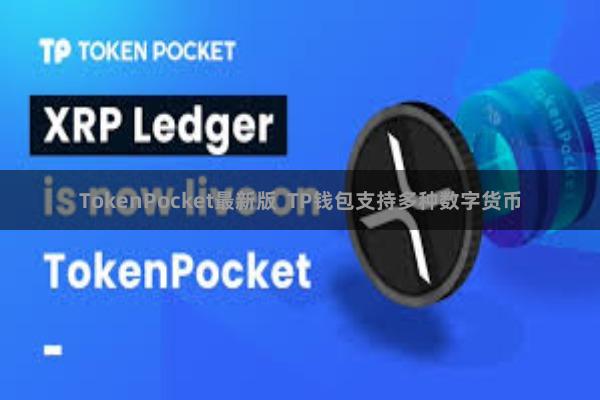 TokenPocket最新版  TP钱包支持多种数字货币